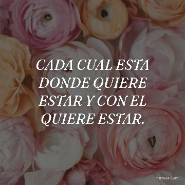 CADA CUAL ESTA DONDE QUIERE ESTAR Y CON EL QUIERE ESTAR.