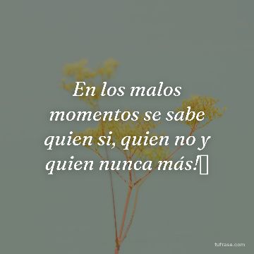 En los malos momentos se sabe quien si, quien no y quien nunca más!🫡