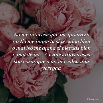 No me interesa que me quieras o no No me importa si te caigo bien o mal No me afana si piensas bien o mal de mí... A estas alturas esas son cosas que a mí me valen una verrgaa