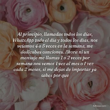 Al principio, llamadas todos los días, WhatsApp todo el día y todos los días, nos veíamos 4 o 5 veces en la semana, me dedicabas canciones. Ahora ni un mensaje me llamas 1 o 2 veces por semana nos vemos 1 vez al mes o 1 vez cada 2 meses, si me dejas de importar ya sabes por que