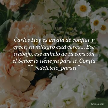 Carlos Hoy es un día de confiar y creer, tu milagro está cerca… Ese trabajo, ese anhelo de tu corazón el Señor lo tiene ya para ti. Confía 🙏🏽 @delcielo_parati ⛅️