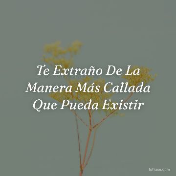 Te Extraño De La Manera Más Callada Que Pueda Existir