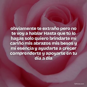 obviamente te extraño pero no te voy a hablar Hasta que tú lo hagas solo quiero brindarte mi cariño mis abrazos mis besos y mi esencia y ayudarte a crecer comprenderte y apoyarte en tu día a día
