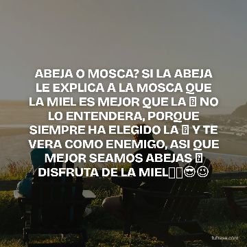 ABEJA O MOSCA? SI LA ABEJA LE EXPLICA A LA MOSCA QUE LA MIEL ES MEJOR QUE LA 💩 NO LO ENTENDERA, PORQUE SIEMPRE HA ELEGIDO LA 💩 Y TE VERA COMO ENEMIGO, ASI QUE MEJOR SEAMOS ABEJAS 🐝 DISFRUTA DE LA MIEL👉🧠😎😉