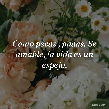Como pecas , pagas. Se amable, la vida es un espejo.