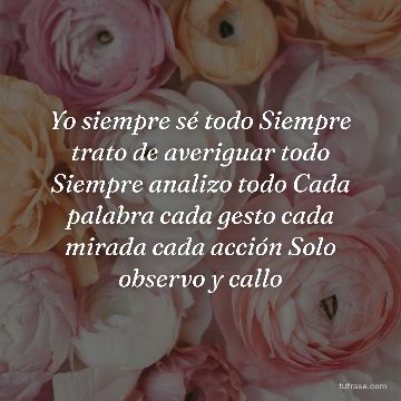 Yo siempre sé todo Siempre trato de averiguar todo Siempre analizo todo Cada palabra cada gesto cada mirada cada acción Solo observo y callo
