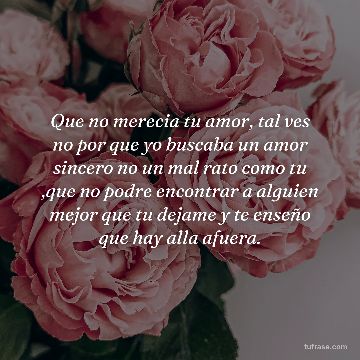 Que no merecia tu amor, tal ves no por que yo buscaba un amor sincero no un mal rato como tu ,que no podre encontrar a alguien mejor que tu dejame y te enseño que hay alla afuera.