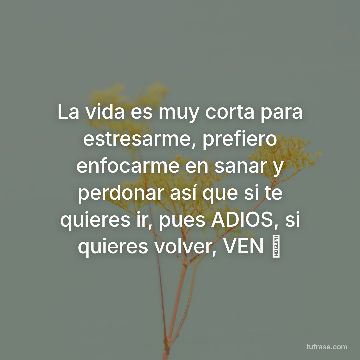 La vida es muy corta para estresarme, prefiero enfocarme en sanar y perdonar así que si te quieres ir, pues ADIOS, si quieres volver, VEN ⏳